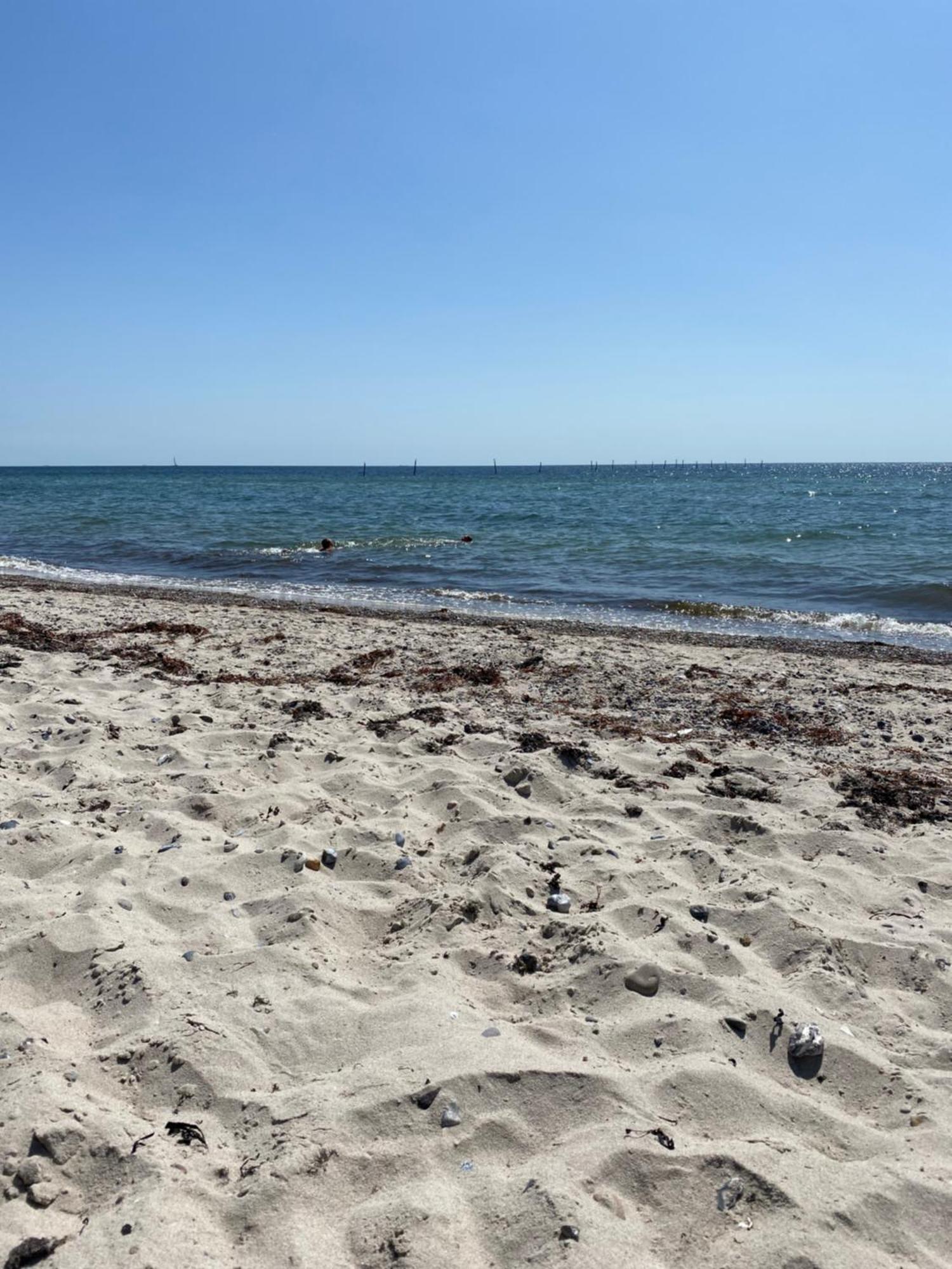 Hummingen Strandvej Dannemare المظهر الخارجي الصورة